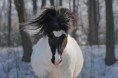 /album/fotogalerie/a1052-283736631726024-945853254-n-jpg/