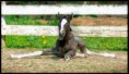 /album/fotogalerie/a150563-519701934725071-1360279618-n-jpg/